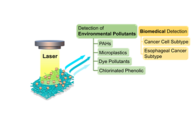 Sub-nanoscale oxygen-defect-rich MoO3-x: A versatile platform for label-free ultrasensitive SERS biodetection 2025.100848